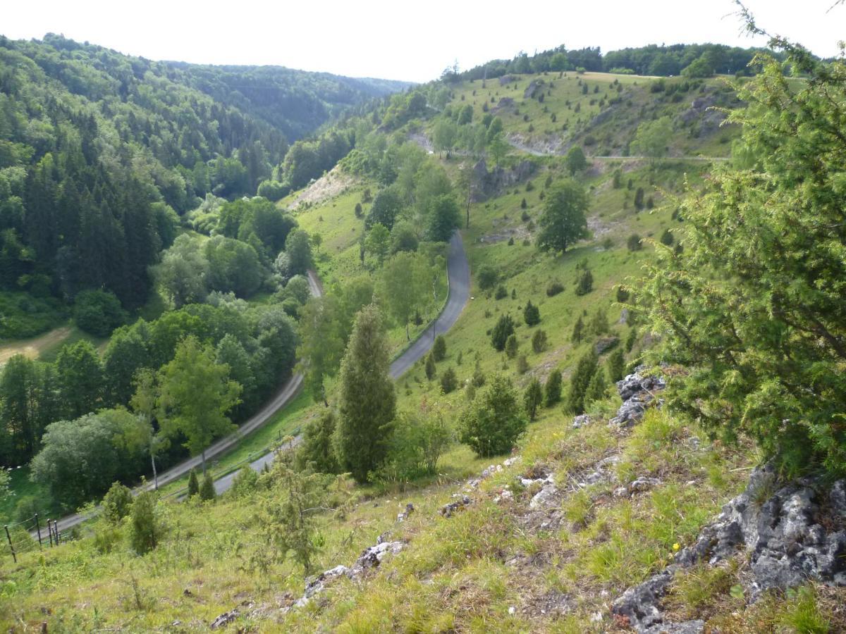 Wagners Fraenkischer Hof Altenkunstadt Esterno foto